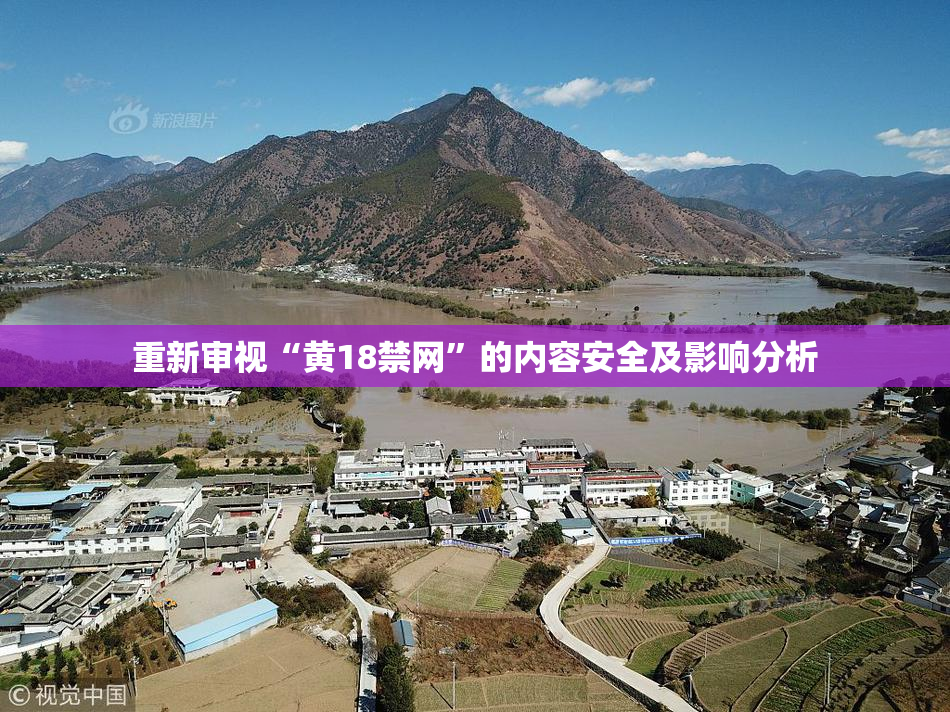 重新审视“黄18禁网”的内容安全及影响分析