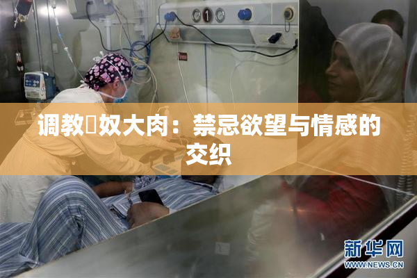 调教婬奴大肉：禁忌欲望与情感的交织