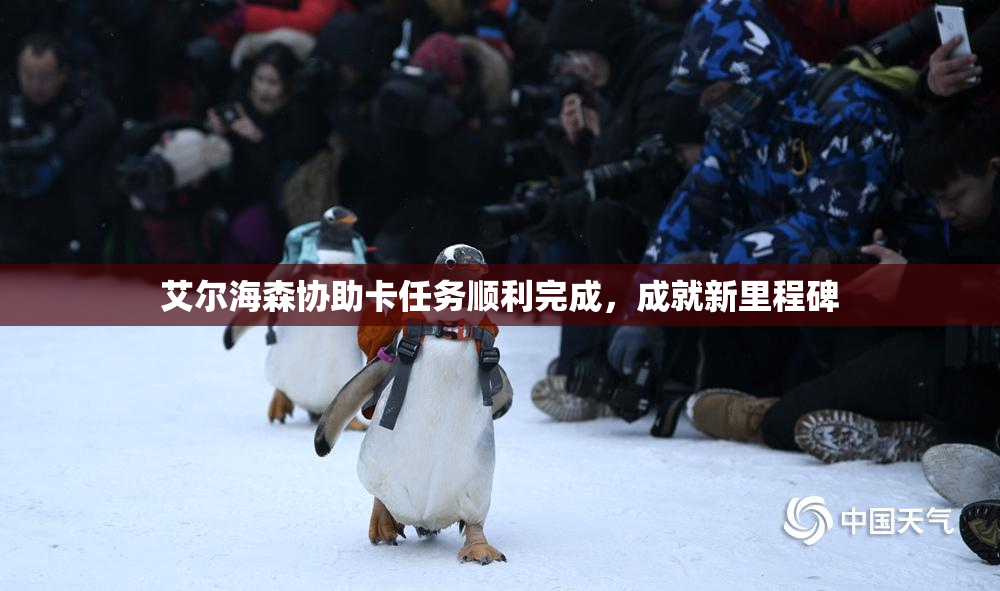 艾尔海森协助卡任务顺利完成，成就新里程碑