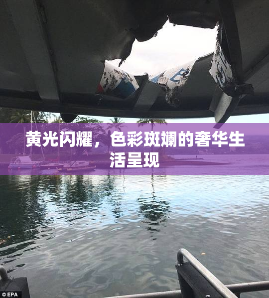 黄光闪耀，色彩斑斓的奢华生活呈现