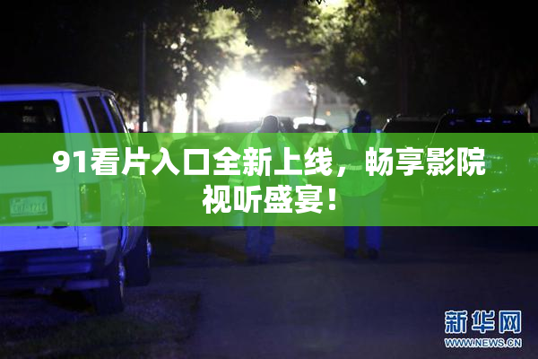 91看片入口全新上线，畅享影院视听盛宴！