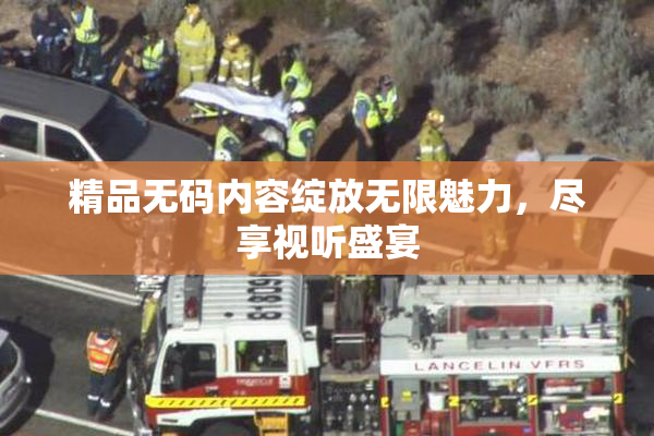 精品无码内容绽放无限魅力，尽享视听盛宴