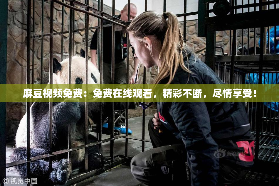 麻豆视频免费：免费在线观看，精彩不断，尽情享受！