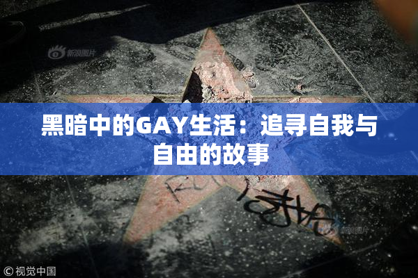 黑暗中的GAY生活：追寻自我与自由的故事