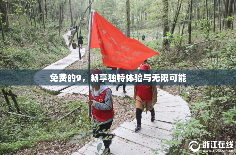 免费的9，畅享独特体验与无限可能
