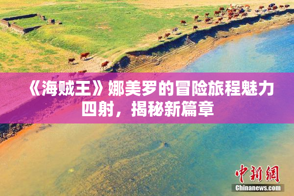 《海贼王》娜美罗的冒险旅程魅力四射，揭秘新篇章