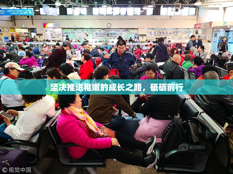 坚决推进稚嫩的成长之路，砥砺前行