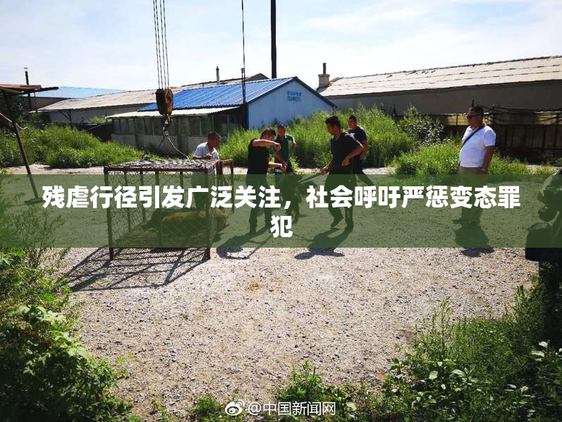 残虐行径引发广泛关注，社会呼吁严惩变态罪犯