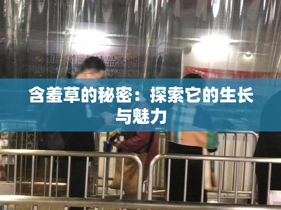 含羞草的秘密：探索它的生长与魅力