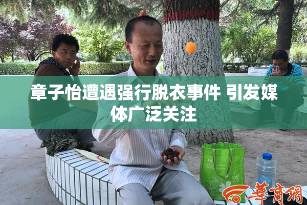 章子怡遭遇强行脱衣事件 引发媒体广泛关注