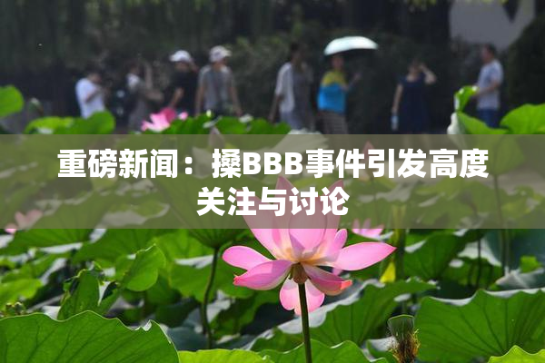 重磅新闻：搡BBB事件引发高度关注与讨论