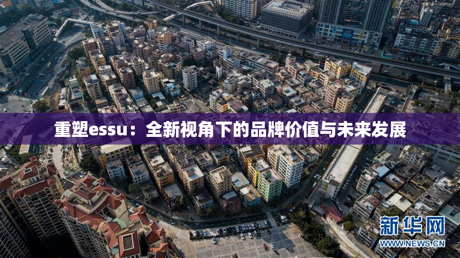 重塑essu：全新视角下的品牌价值与未来发展