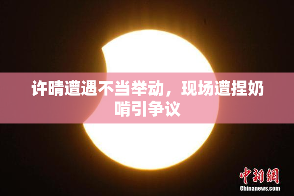 许晴遭遇不当举动，现场遭捏奶啃引争议