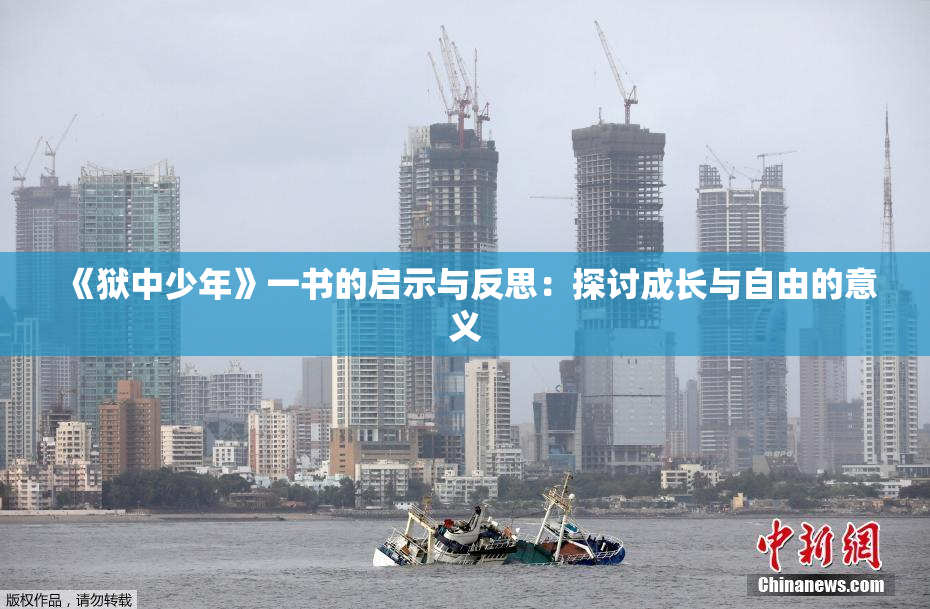 《狱中少年》一书的启示与反思：探讨成长与自由的意义