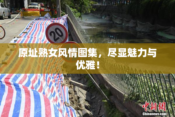 原址熟女风情图集，尽显魅力与优雅！