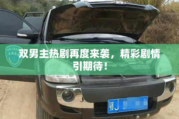 双男主热剧再度来袭，精彩剧情引期待！