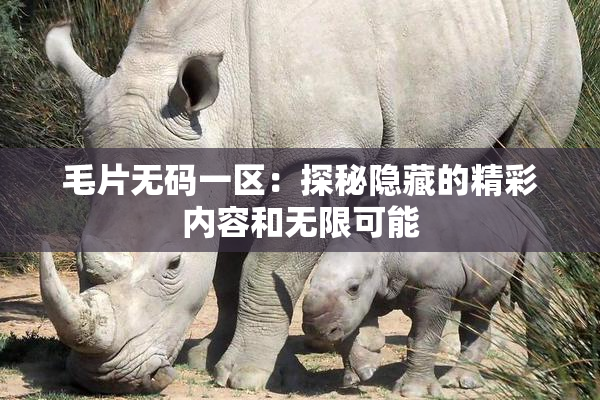 毛片无码一区：探秘隐藏的精彩内容和无限可能