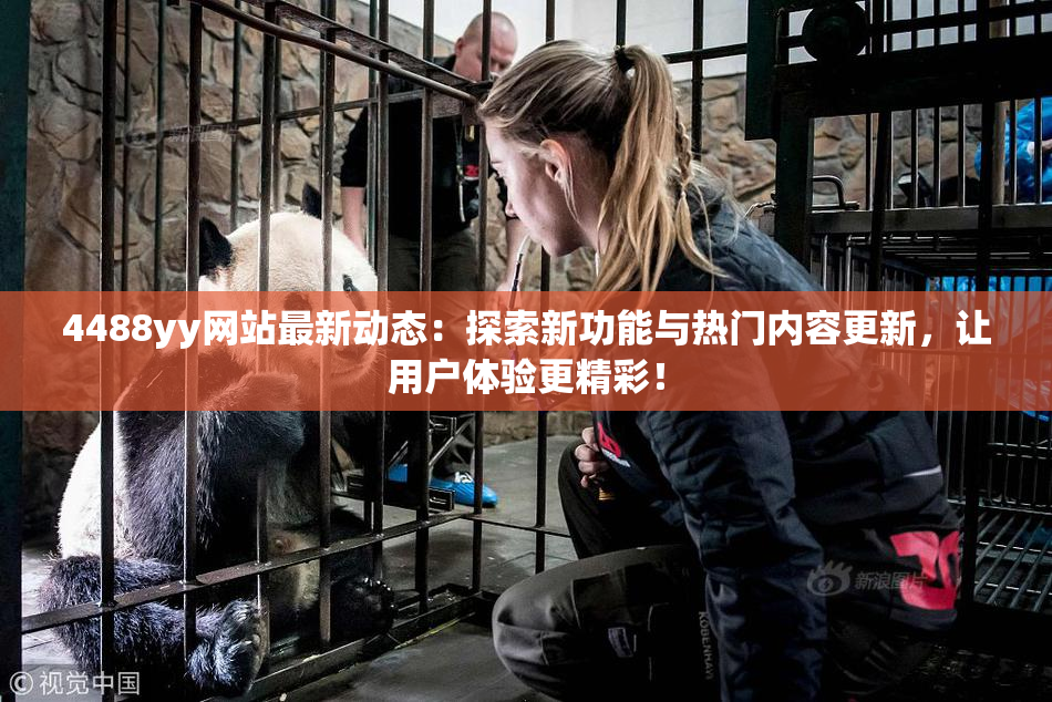 4488yy网站最新动态：探索新功能与热门内容更新，让用户体验更精彩！