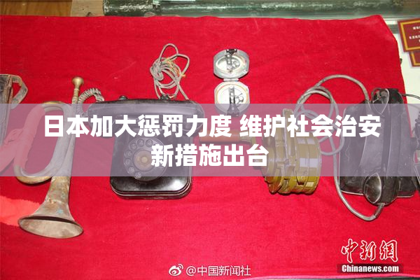 日本加大惩罚力度 维护社会治安新措施出台