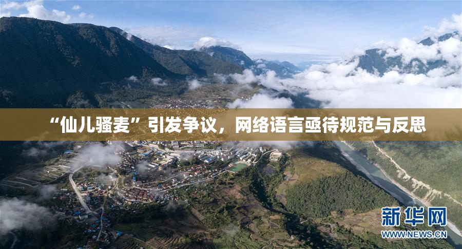 “仙儿骚麦”引发争议，网络语言亟待规范与反思