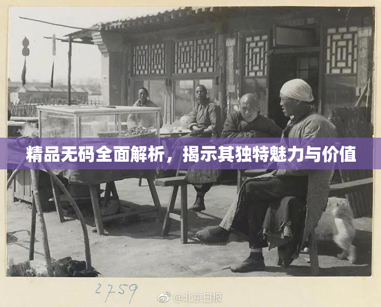 精品无码全面解析，揭示其独特魅力与价值