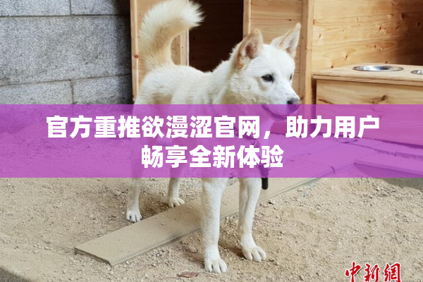 官方重推欲漫涩官网，助力用户畅享全新体验