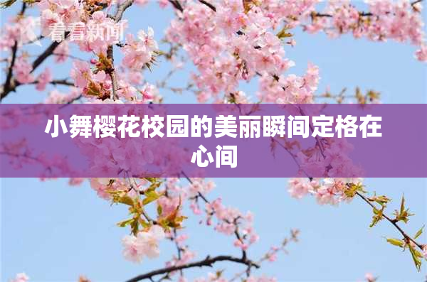小舞樱花校园的美丽瞬间定格在心间