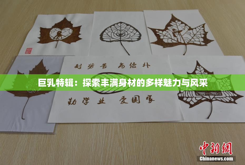 巨乳特辑：探索丰满身材的多样魅力与风采