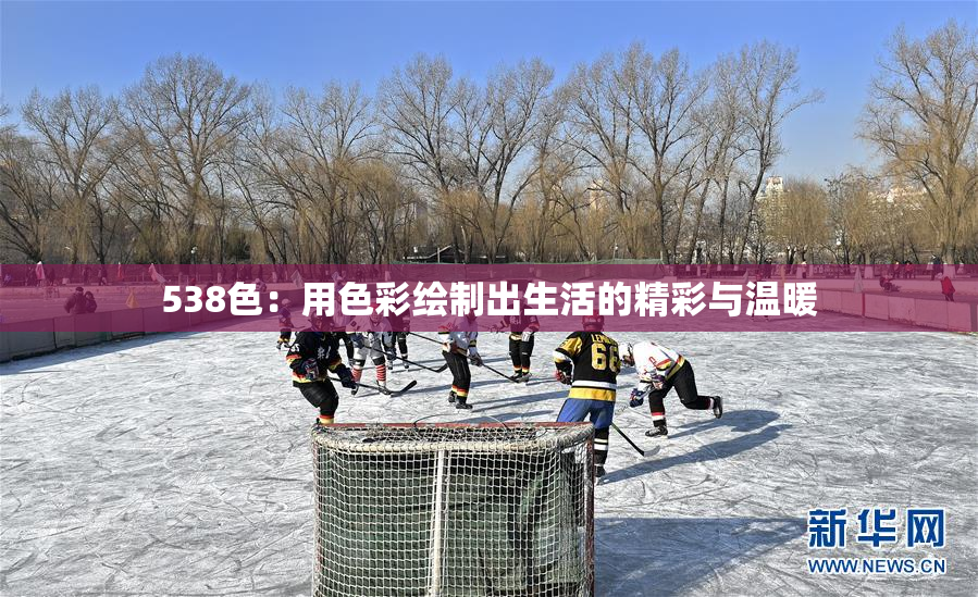538色：用色彩绘制出生活的精彩与温暖