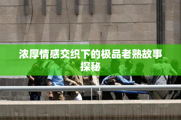 浓厚情感交织下的极品老熟故事探秘