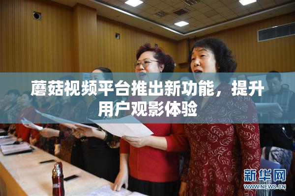 蘑菇视频平台推出新功能，提升用户观影体验