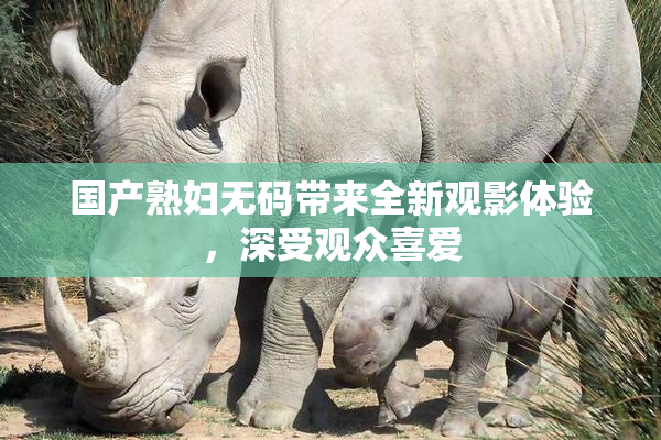 国产熟妇无码带来全新观影体验，深受观众喜爱