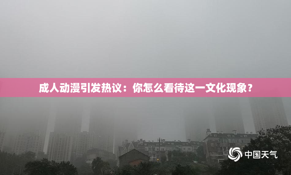 成人动漫引发热议：你怎么看待这一文化现象？
