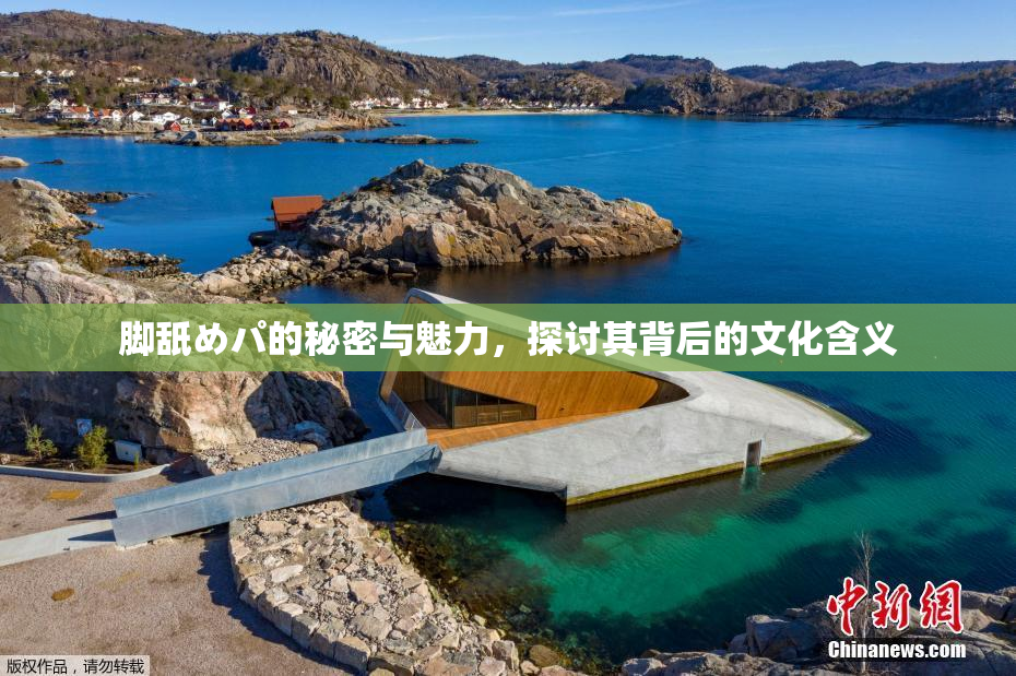 脚舐めパ的秘密与魅力，探讨其背后的文化含义