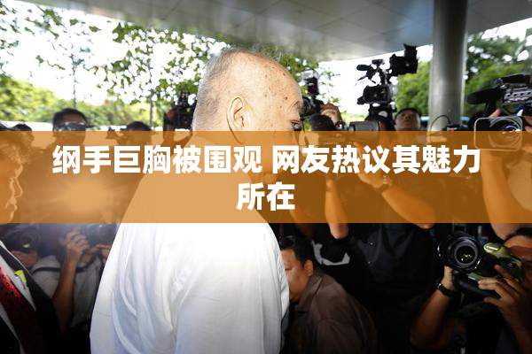 纲手巨胸被围观 网友热议其魅力所在