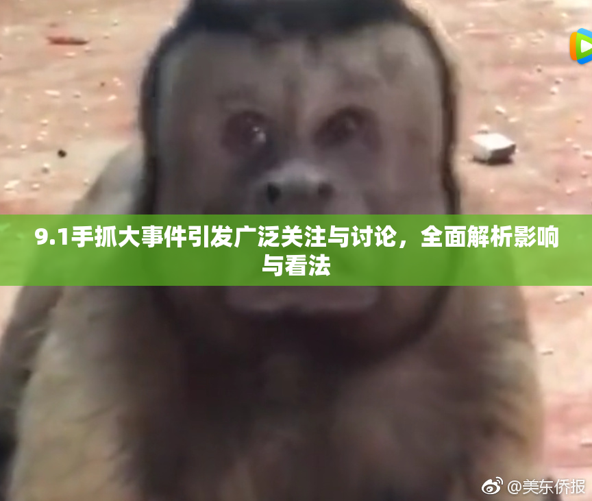 9.1手抓大事件引发广泛关注与讨论，全面解析影响与看法