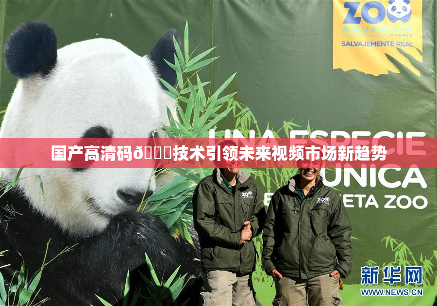 国产高清码🔞技术引领未来视频市场新趋势