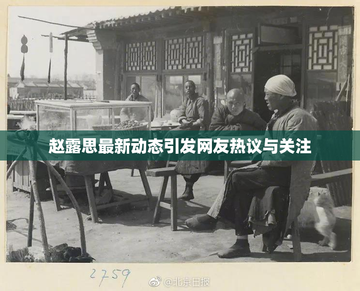 赵露思最新动态引发网友热议与关注