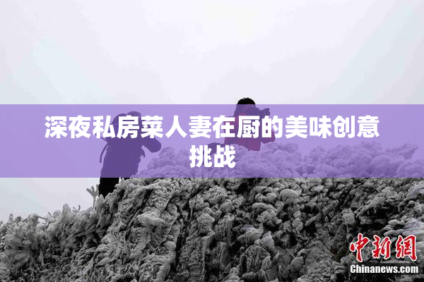 深夜私房菜人妻在厨的美味创意挑战