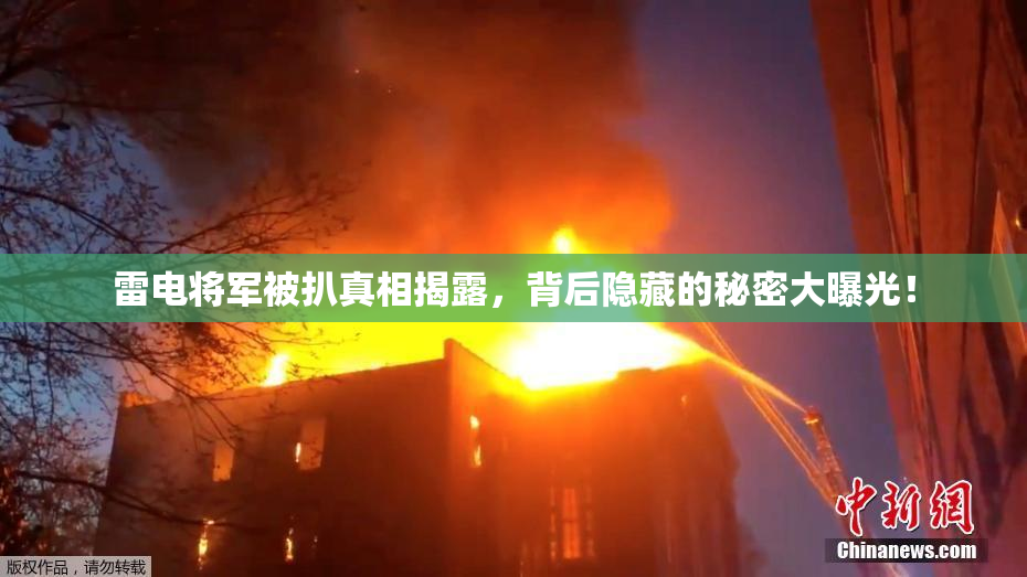 雷电将军被扒真相揭露，背后隐藏的秘密大曝光！