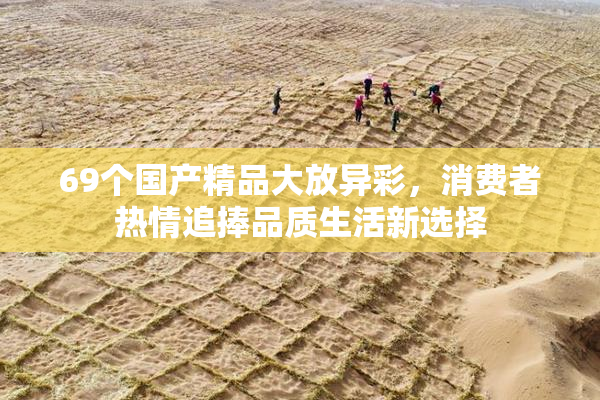 69个国产精品大放异彩，消费者热情追捧品质生活新选择
