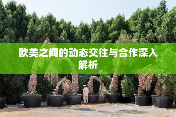 欧美之间的动态交往与合作深入解析