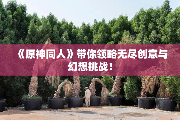 《原神同人》带你领略无尽创意与幻想挑战！