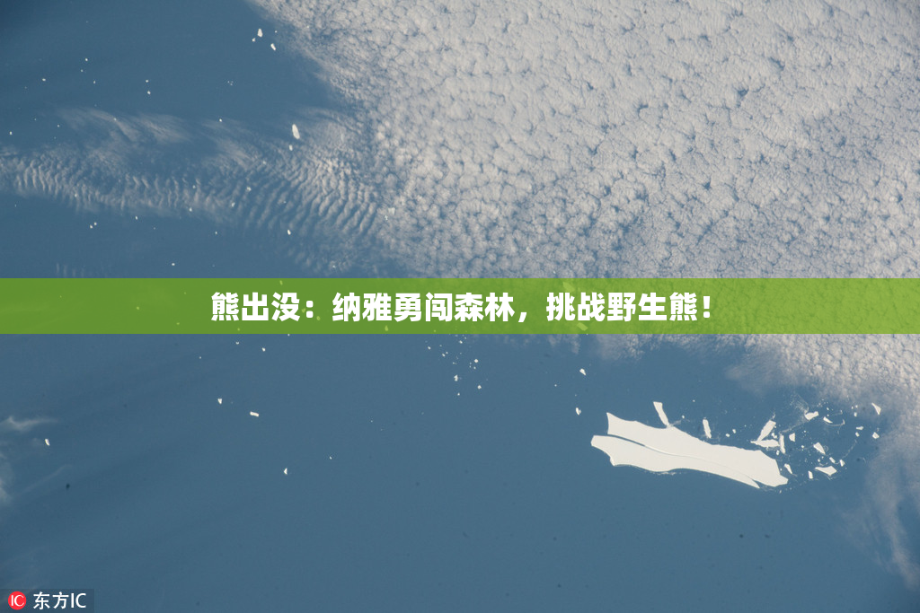 熊出没：纳雅勇闯森林，挑战野生熊！