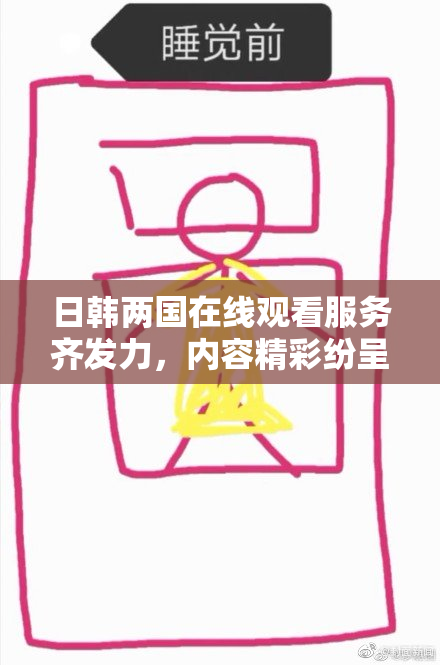 日韩两国在线观看服务齐发力，内容精彩纷呈