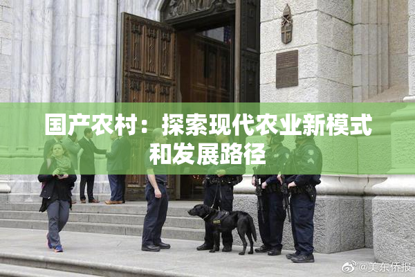 国产农村：探索现代农业新模式和发展路径