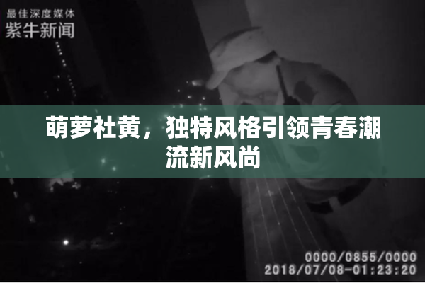 萌萝社黄，独特风格引领青春潮流新风尚