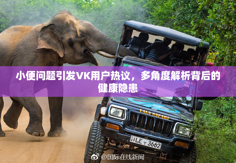 小便问题引发VK用户热议，多角度解析背后的健康隐患