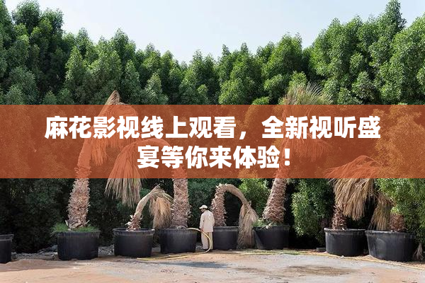 麻花影视线上观看，全新视听盛宴等你来体验！