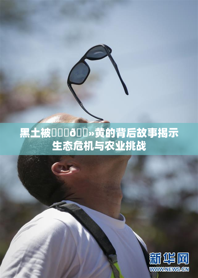 黑土被❌‌‌🐻黄的背后故事揭示生态危机与农业挑战